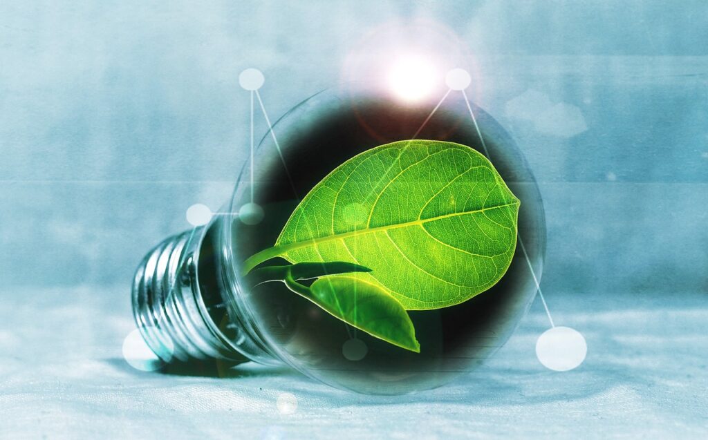 How Small and Medium-Sized Enterprises Can Leverage Digital Tools to Drive Growth lightbulb, leaf, chlorophyll, green, leaf green, light, pear, nature, flashes, energy, energy transition, energy generation, bulbs, experiment, innovation, environmentally friendly, electricity, environment, electric light, energy saving